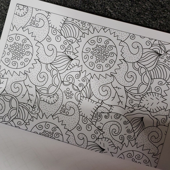 ADULT coloring book new. - Picture 3 of 11
